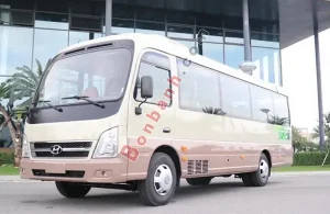 Giá Xe Hyundai County 2025: Giá Lăn Bánh, Thông Số Và Ưu Đãi Mới Nhất