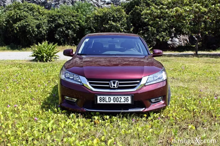 Tổng Quan Về Ngoại Hình