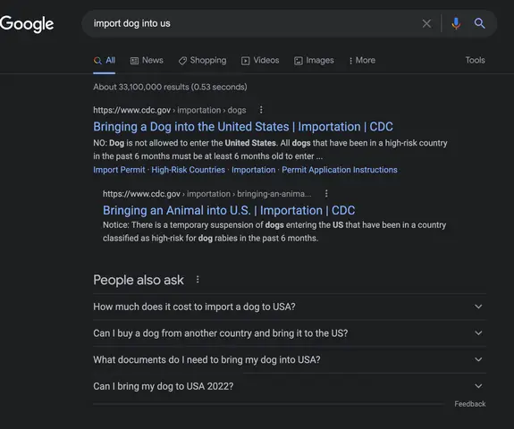 Giày Chó Đi Xe Ô Tô