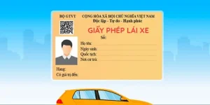 1. Các Loại Giấy Tờ Xe Ô Tô Bao Gồm Những Gì?