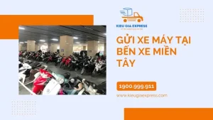Các Bãi Giữ Xe Tư Nhân Lân Cận