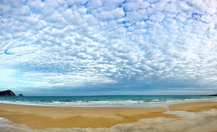 Gửi Xe Ô Tô Đi Tàu Cao Tốc Vân Đồn