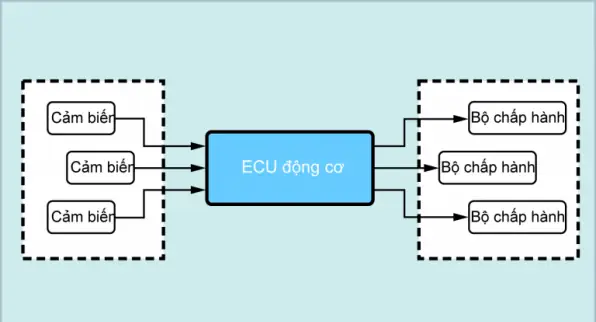Hệ Thống Điều Khiển Điện Tử Trên Ô Tô Hiện Đại