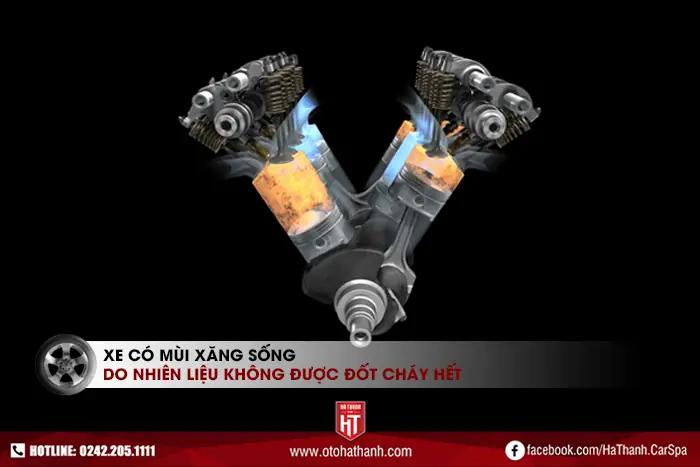 2.1. Xe Có Mùi Xăng Sống