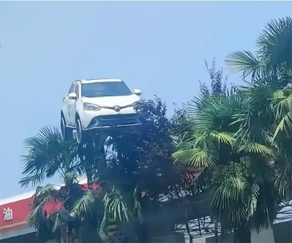 Trường Dạy Lái Xe - Ảnh 3.