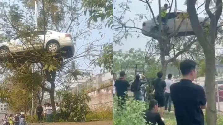 Trường Dạy Lái Xe - Ảnh 2.