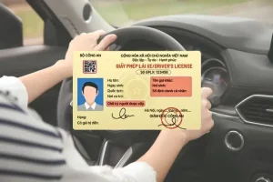 Giấy Phép Lái Xe Là Gì? Các Loại Gplx Hiện Nay