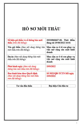 Hồ Sơ Mời Thầu Sửa Xe Ô Tô Gồm Những Tài Liệu Gì?