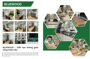 Họa Tiết Vui Nhộn Trang Trí Xe Ô Tô