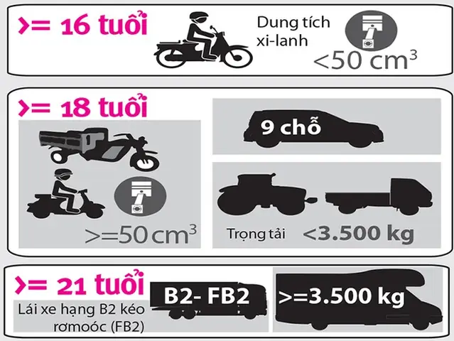 Học Bằng D Lái Xe Ô Tô Bao Nhiêu Tuổi Theo Quy Định? Học Bằng D Lái Xe Ô Tô Bao Nhiêu Tuổi Theo Quy Định?
