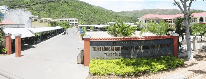 3. Trung Tâm Đào Tạo Nghiệp Vụ Giao Thông Vận Tải Bình Định