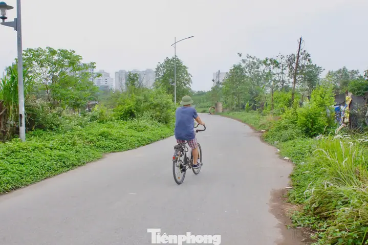 Theo Tìm Hiểu, Dự Án Công Viên Chu Văn An Dự Kiến Hoàn Thành Vào Quý I Năm 2020, Nhưng Đến Nay, Các Hạng Mục Trong Công Viên Vẫn Ngổn Ngang, “nằm Im Bất Động”. Nhiều Khu Vực Hoang Hoá, Cây Dại Mọc Um Tùm.