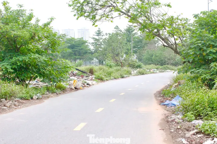 Theo Tìm Hiểu, Dự Án Công Viên Chu Văn An Dự Kiến Hoàn Thành Vào Quý I Năm 2020, Nhưng Đến Nay, Các Hạng Mục Trong Công Viên Vẫn Ngổn Ngang, “nằm Im Bất Động”. Nhiều Khu Vực Hoang Hoá, Cây Dại Mọc Um Tùm.