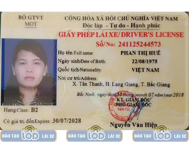 Giay Phep Lai Xe O To Hang B2