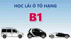 Địa Chỉ Học Bằng Lái Xe B Số Tự Động Uy Tín Chất Lượng