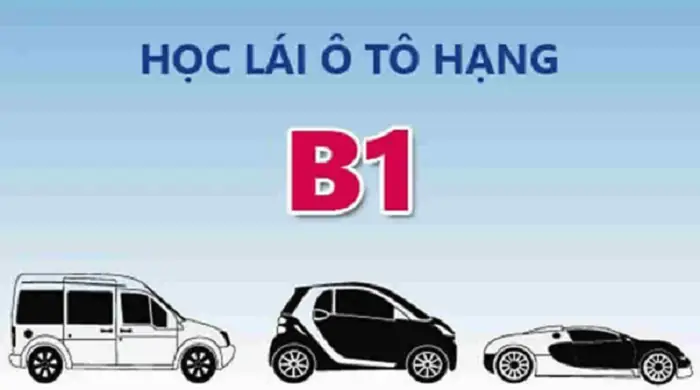 Địa Chỉ Học Bằng Lái Xe B Số Tự Động Uy Tín Chất Lượng