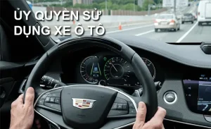 Ủy Quyền Sử Dụng Xe Ô Tô, Xe Máy Giúp Xác Lập Những Thỏa Thuận Gì?