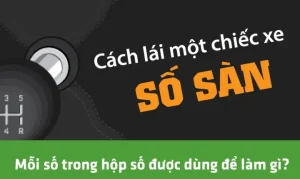 Hộp Lườn Xe Ô Tô