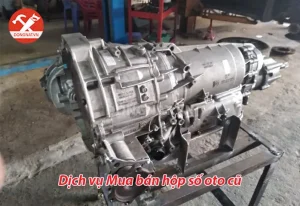 Kinh Nghiệm Kiểm Tra Hộp Số Xe Ô Tô Cũ Toàn Diện A-z