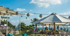 Cẩm Nang Du Lịch Đảo Jeju <những Điều Cần Biết Khi Du Lịch Tự Túc Tới Đảo Jeju - Hàn Quốc )