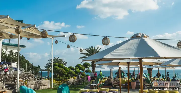 Cẩm Nang Du Lịch Đảo Jeju <những Điều Cần Biết Khi Du Lịch Tự Túc Tới Đảo Jeju - Hàn Quốc )