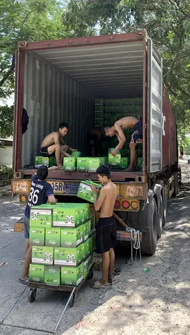 4. Hướng Dẫn Sử Dụng Keo Dán Alu 3t Bond