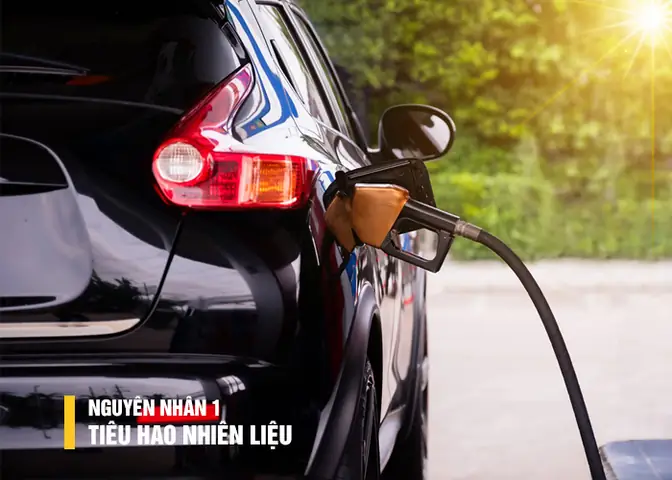 Thay Lọc Gió Động Cơ Ô Tô Ngay Khi Hao Tốn Nhiên Liệu