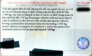 Mặt Sau Bằng Lái Xe Ô Tô Hạng B Số Sàn Mẫu Mới