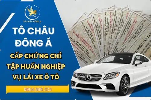 Kinh Doanh Xe Ô Tô Bình Dương: Cẩm Nang Từ A-z Cho Người Mua