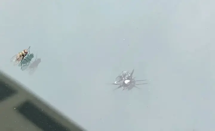 Hướng Dẫn Xử Lý Vết Nứt Kính Lái