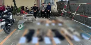 Lò Mổ Xe Ô Tô Tphcm: Hướng Dẫn Toàn Diện Về Thanh Lý Xe Cũ An Toàn & Hợp Pháp