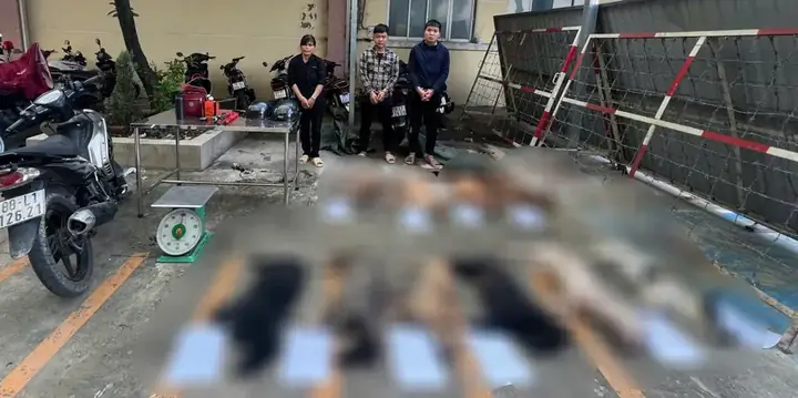 Lò Mổ Xe Ô Tô Tphcm: Hướng Dẫn Toàn Diện Về Thanh Lý Xe Cũ An Toàn & Hợp Pháp