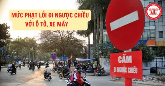 Lỗi Xe Ô Tô Đi Ngược Chiều Phạt Bao Nhiêu? Cập Nhật Chi Tiết