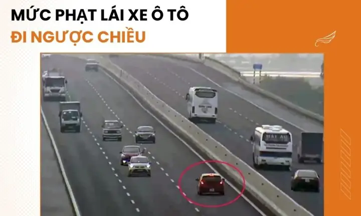 Lỗi Xe Ô Tô Đi Ngược Chiều Phạt Bao Nhiêu? Cập Nhật Chi Tiết