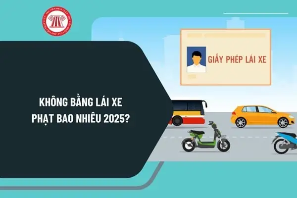 Không Bằng Lái Xe Phạt Bao Nhiêu 2025? Chạy Xe Máy, Xe Ô Tô Không Mang Bằng Lái Xe Bị Phạt Bao Nhiêu Tiền? Không Bằng Lái Xe Phạt Bao Nhiêu 2025? Chạy Xe Máy, Xe Ô Tô Không Mang Bằng Lái Xe Bị Phạt Bao Nhiêu Tiền?