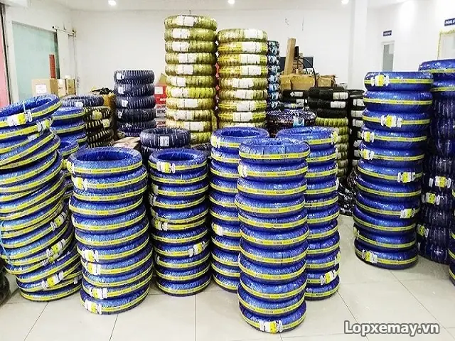 Các Loại Vỏ Không Ruột Được Ưa Chuộng Nhất Hiện Nay: