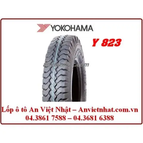 Kích Thước Và Cấu Trúc Độc Đáo