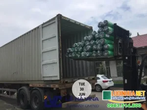 Lưới Che Nắng Xe Ô Tô Hà Nội: Hướng Dẫn Chọn Mua Và Sử Dụng Hiệu Quả