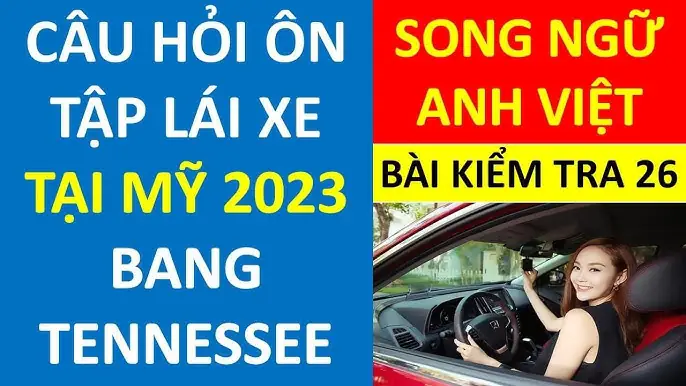 Kiểm Tra Lý Lịch Xe Ô Tô: Hướng Dẫn Toàn Diện Từ A Đến Z
