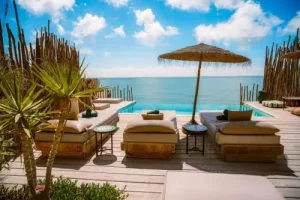 Mã Công Văn Cấp Lại Biển Xe Ô Tô: Hướng Dẫn Tra Cứu Và Sử Dụng Đúng Cách