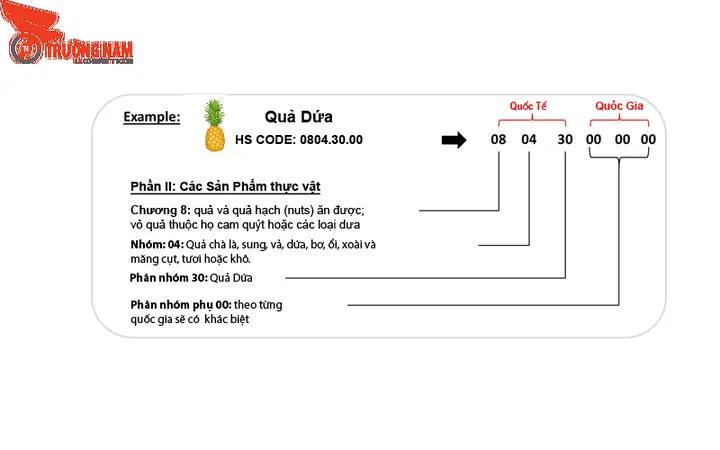 Tham Khảo Ý Kiến Chuyên Gia Hoặc Cơ Quan Hải Quan