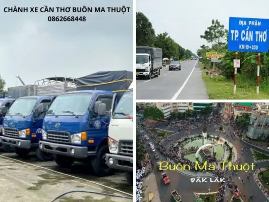 Máy Thổi Khô Xe Ô Tô: Hướng Dẫn Toàn Diện Từ Lựa Chọn Đến Sử Dụng Hiệu Quả