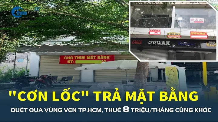 Khám Phá Tiềm Năng Thị Trường Rửa Xe Ô Tô Tại Thủ Đức