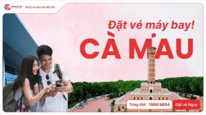 Mẫu Ốp Xe Ô Tô Đẹp: Top 15+ Thiết Kế Hot Nhất 2025 Cho Xe Sang Trọng Và Cá Tính