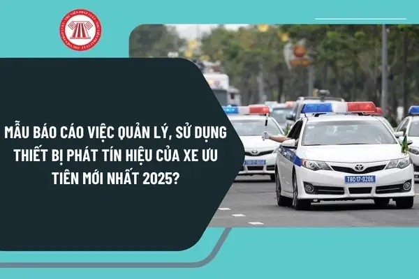 Mẫu Báo Cáo Quản Lý Xe Ô Tô: Hướng Dẫn Xây Dựng & Tối Ưu Hóa Cho Doanh Nghiệp