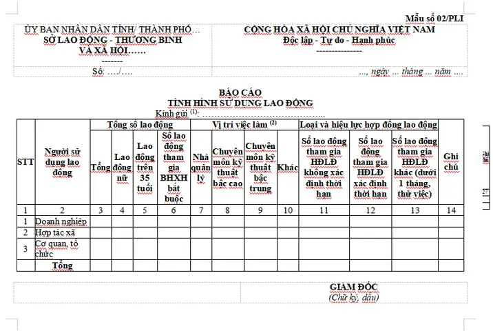 Mẫu Báo Cáo Tình Hình Sử Dụng Xe Ô Tô: Hướng Dẫn Chi Tiết & Tối Ưu Quản Lý Đội Xe