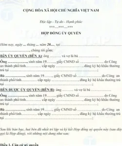 Mẫu Công Ty Ủy Quyền Sử Dụng Xe Ô Tô: Hướng Dẫn Chi Tiết