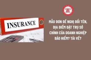 Mẫu Đơn Đổi Thẻ Bảo Hiểm Xe Ô Tô: Hướng Dẫn Chi Tiết Từ A Đến Z