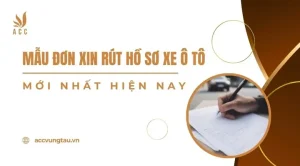 Mẫu Đơn Xin Hỗ Trợ Xe Ô Tô: Hướng Dẫn Chi Tiết Từ A Đến Z