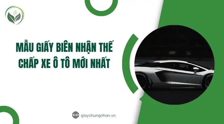 Hướng Dẫn Chi Tiết Về Mẫu Giấy Xác Nhận Thế Chấp Xe Ô Tô